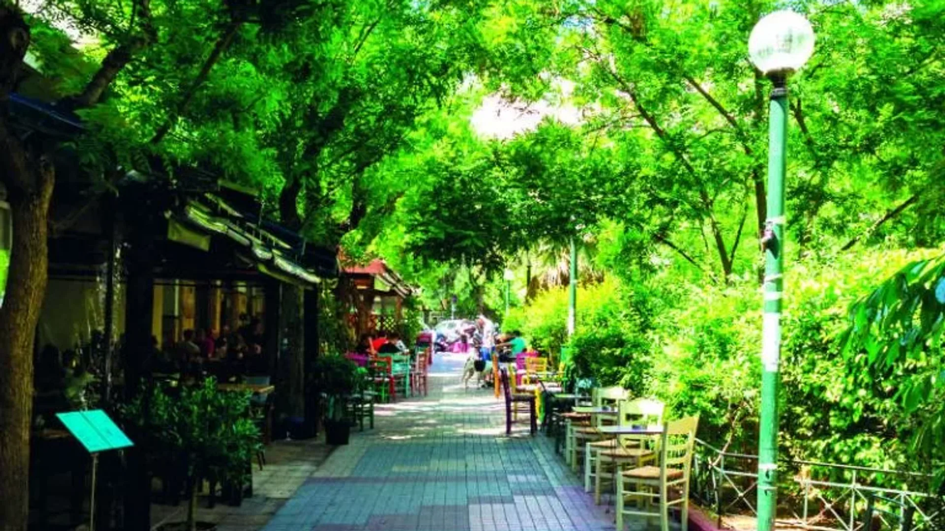 A leafy two-storey street in Koukaki with citrus trees and the Acropolis rising behind