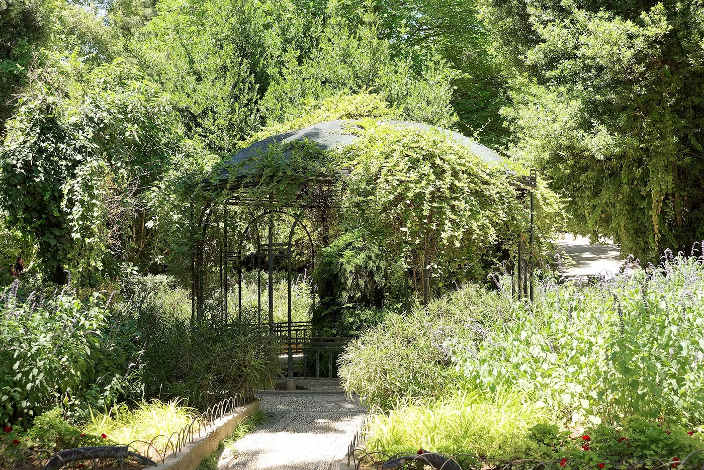 Una pérgola cubierta de trepadoras y un sendero entre la vegetación del Jardín Nacional