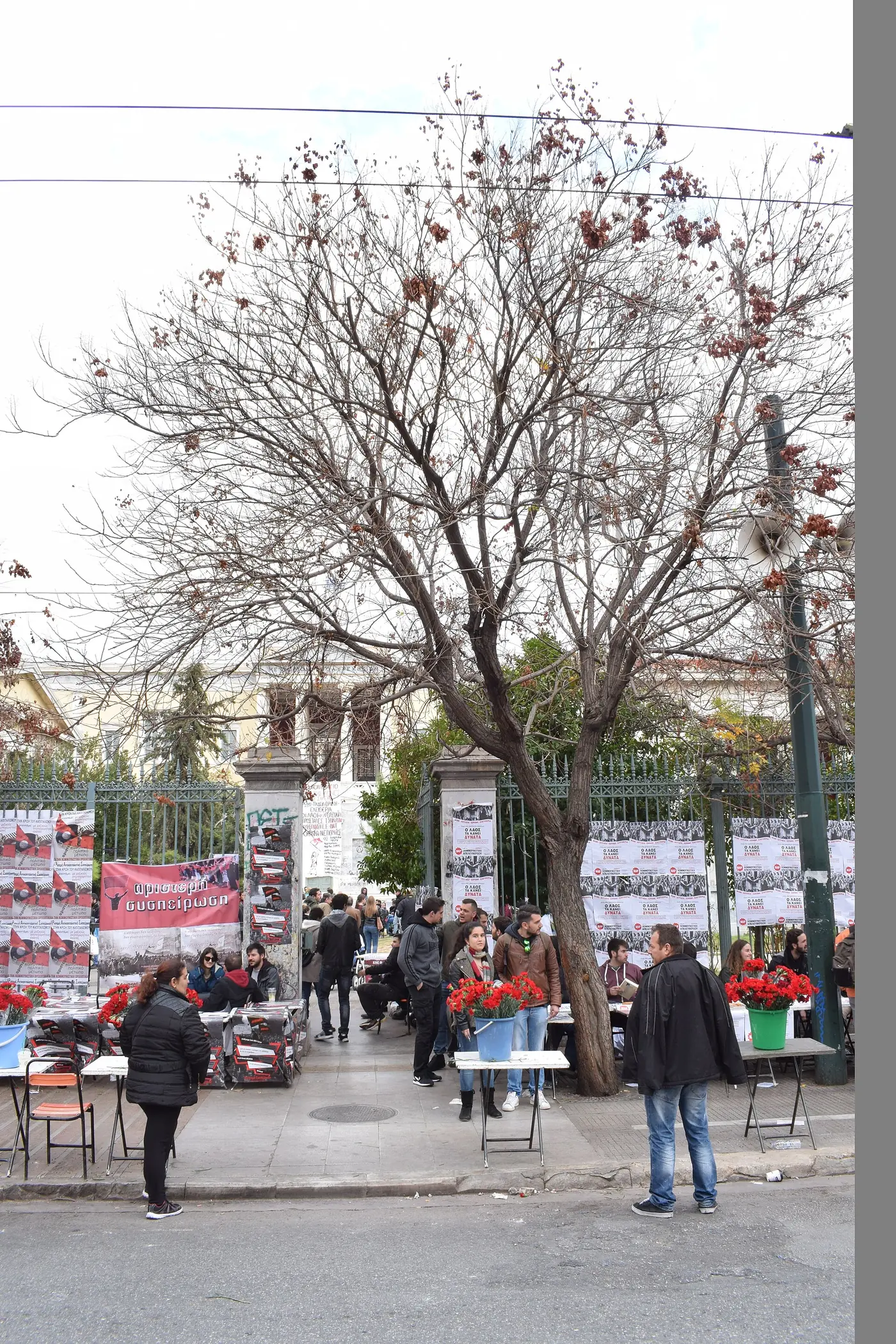 Il cancello del Politecnico nell’anniversario del 2016, con bancarelle, manifesti e gente all’ingresso sotto un albero spoglio