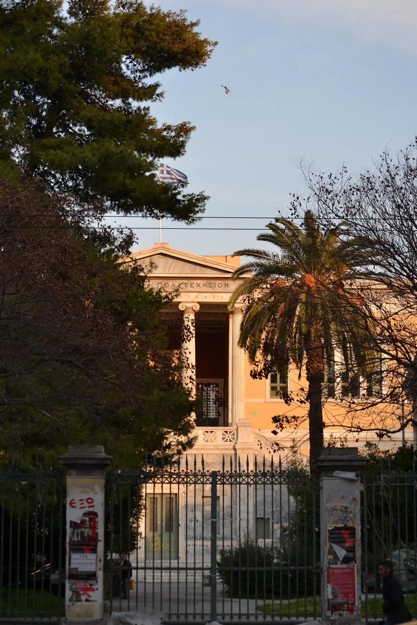 Il cancello principale del Politecnico in via Patision, con una palma e l’edificio neoclassico giallo dietro