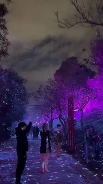 Bomen verlicht met paarse spots en lichtpuntjes langs een parkpad bij nacht, met bezoekers die foto’s maken