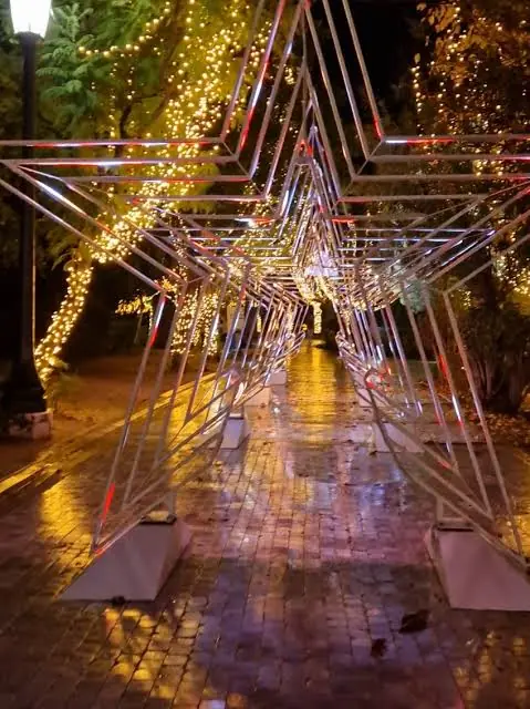 Lichttunnel van sterren boven een nat geplaveid parkpad bij nacht, met verlichte bomen eromheen