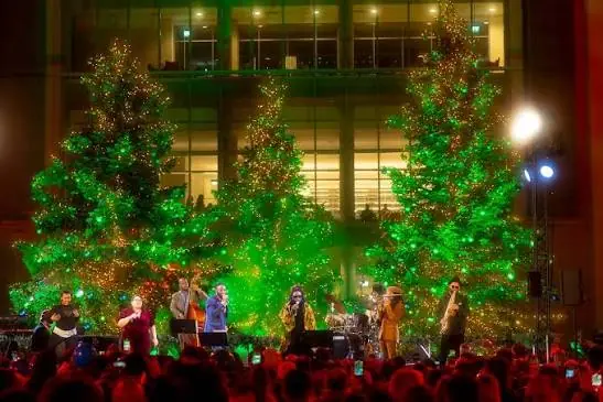 Een band speelt op een podium voor drie hoge kerstbomen met groene lichten bij het SNFCC