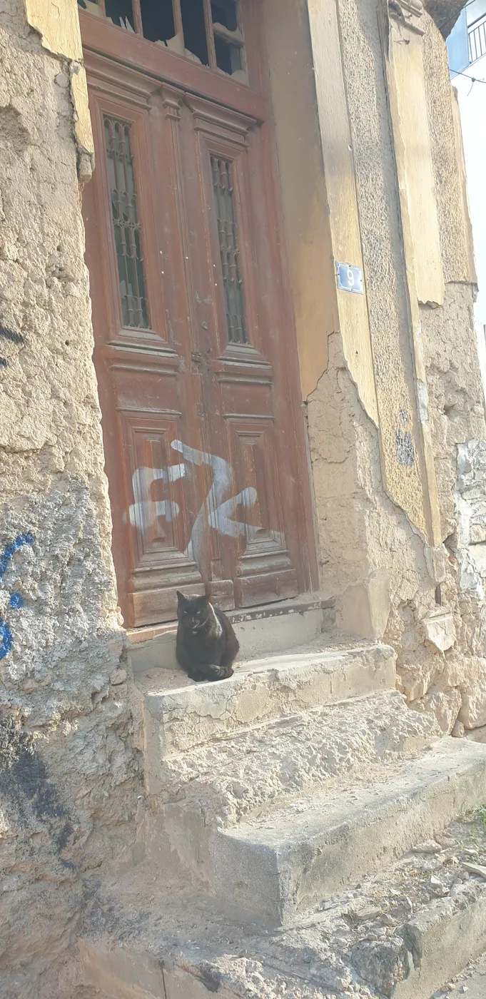 佩特拉洛纳一扇旧木门的台阶上坐着一只黑猫