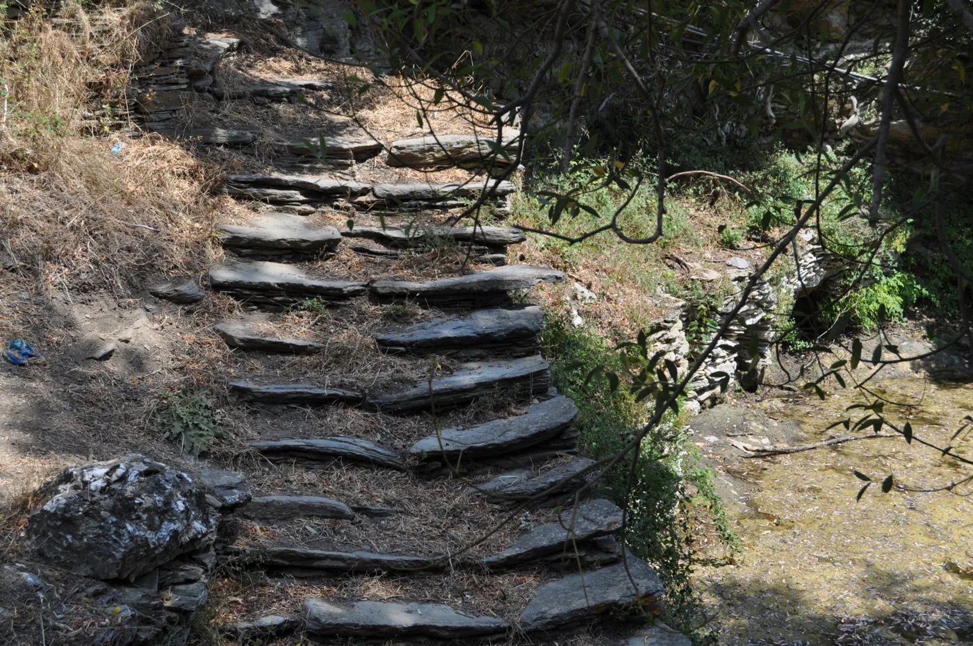 Πέτρινα σκαλοπάτια παλιού καλντεριμιού ανάμεσα σε δέντρα στις Στενιές