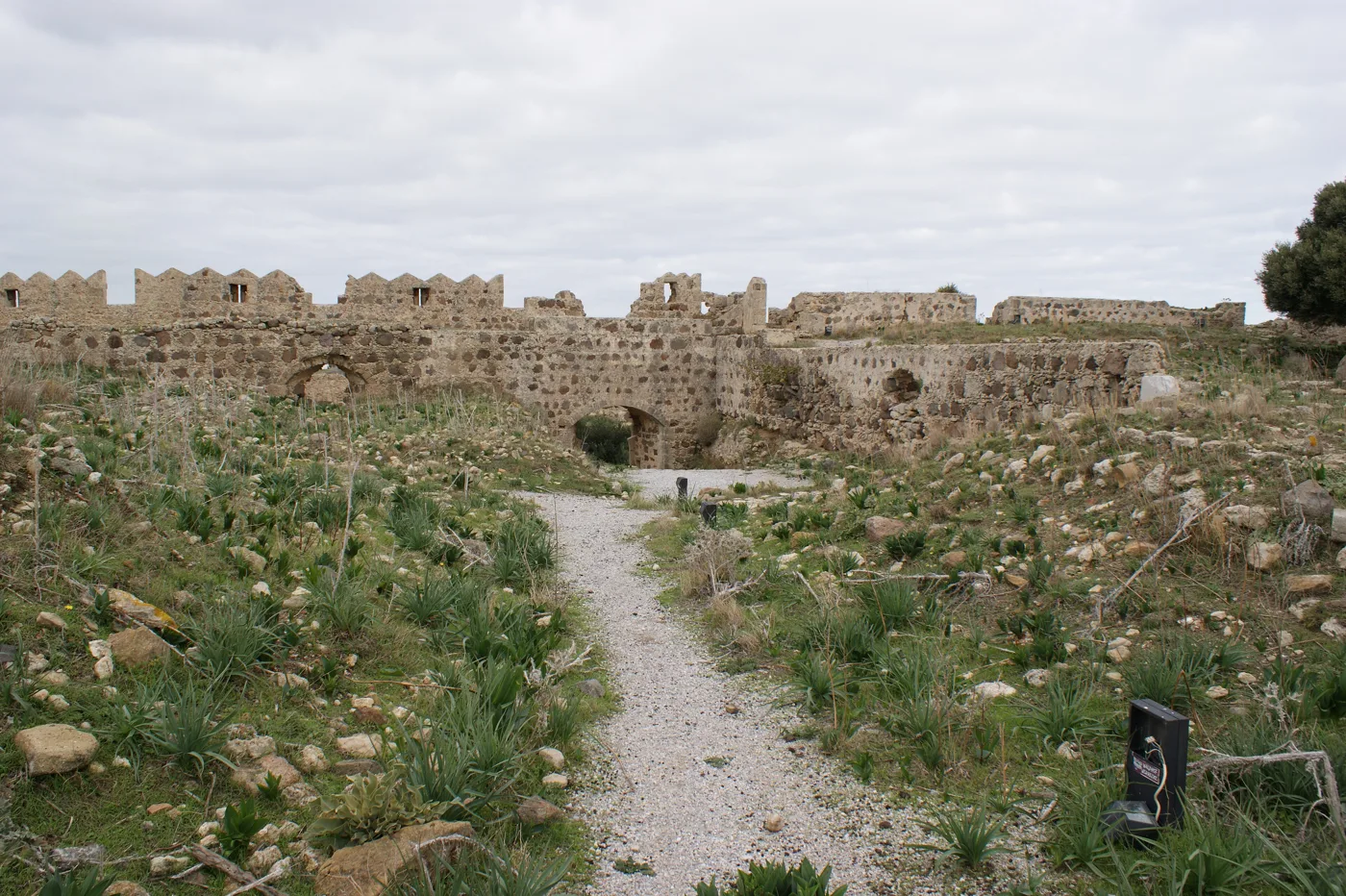 Il sentiero verso l’ingresso del castello di Antimachia tra la vegetazione bassa