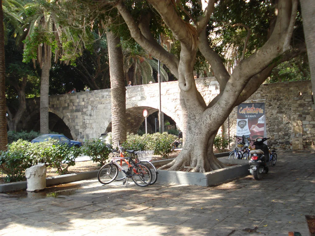 Un ponte di pietra nella città vecchia di Kos, con un grande albero e biciclette sotto