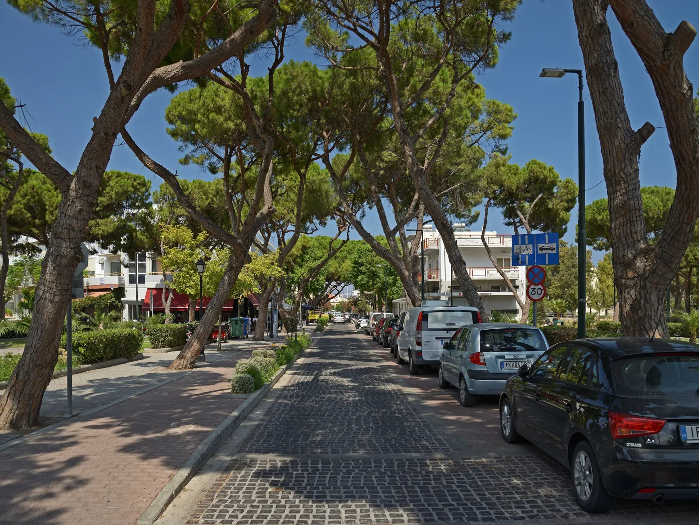 Una strada di Kos con pini su entrambi i lati e una pista ciclabile sul marciapiede