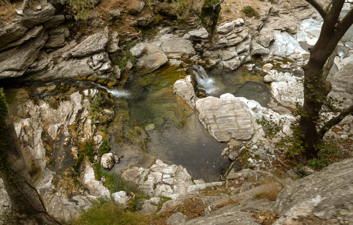Des vasques d’eau verte entre les rochers et les arbres à Dimosari