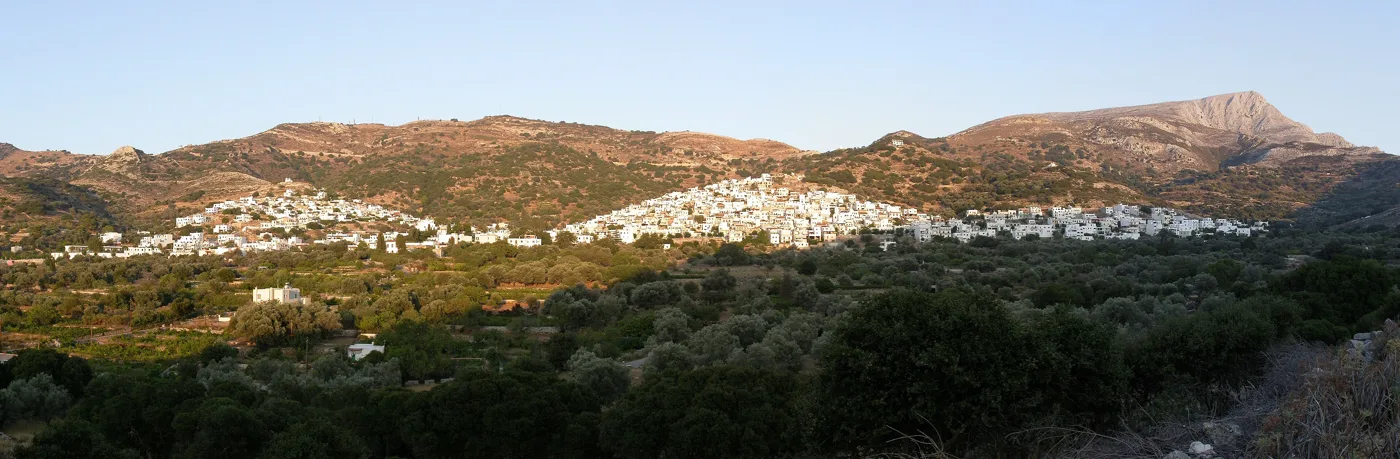 Το Φιλότι απλωμένο στην πλαγιά, με ελαιώνες μπροστά και το βουνό πίσω