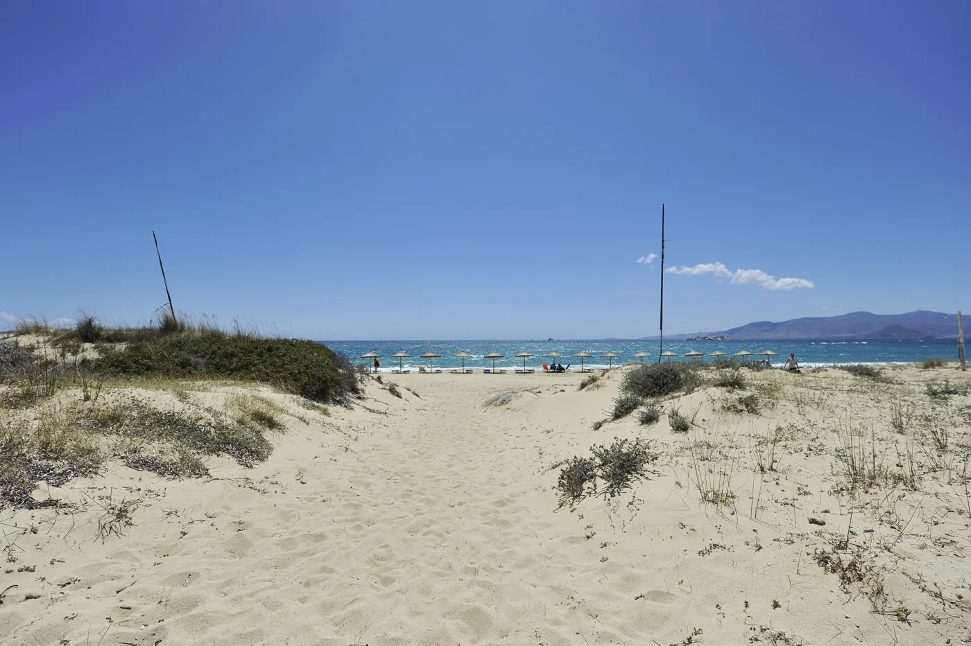 Αμμόλοφοι με θάμνους και η μακριά αμμουδιά της Πλάκας