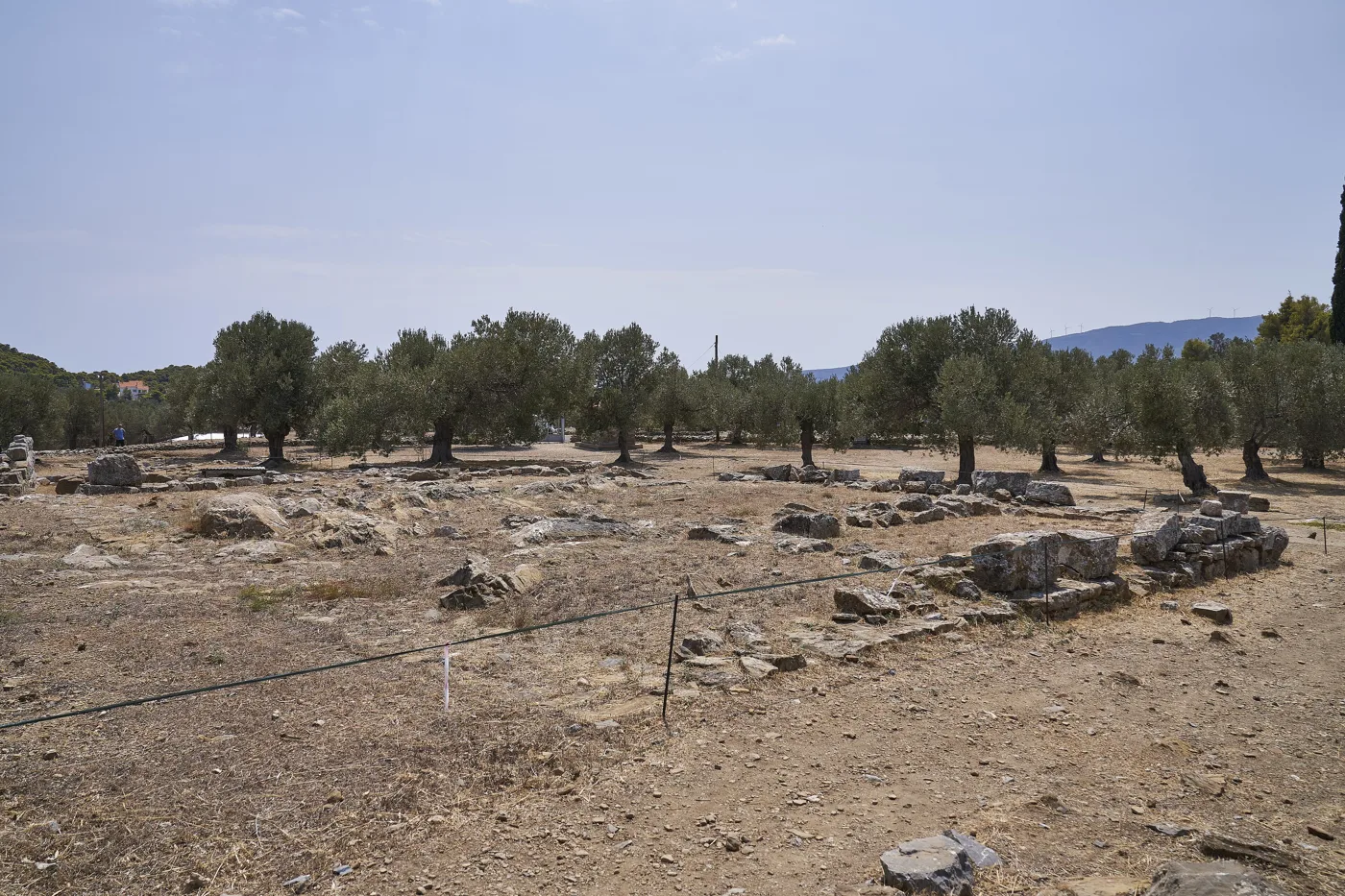 オリーブの木と建物の基礎が残るカラヴリアの遺跡