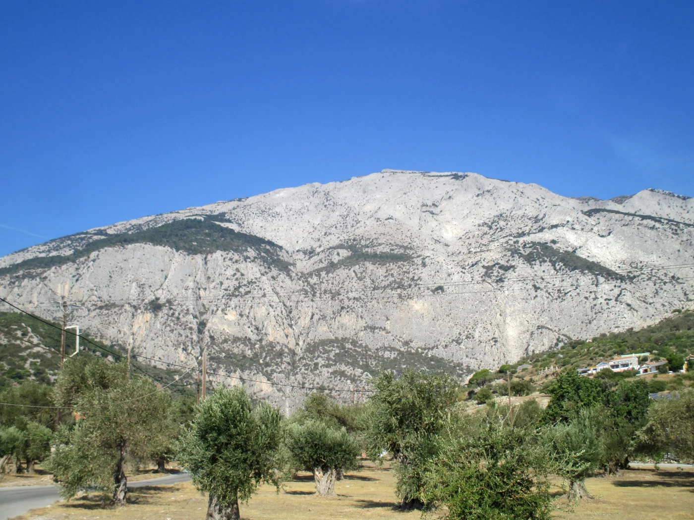 凯尔基斯山，橄榄林上方光秃秃的灰色岩山