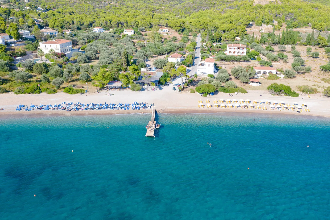 Η αμμουδιά των Αγίων Αναργύρων κάτω από πεύκα, με σκάφη στα ανοιχτά