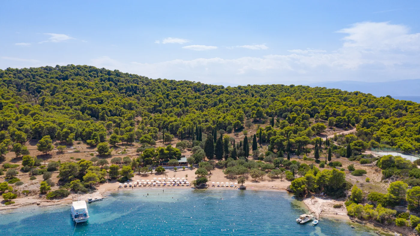 Ο όρμος της Ζωγεριάς από ψηλά, με πεύκα ως το νερό και σκάφη