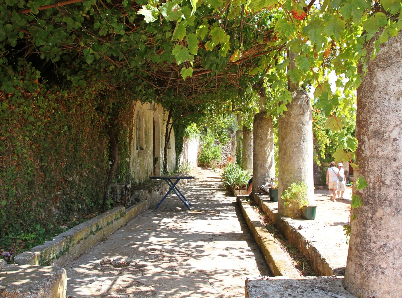 A shady monastery courtyard with a vine and stone benches in the hills of Zakynthos