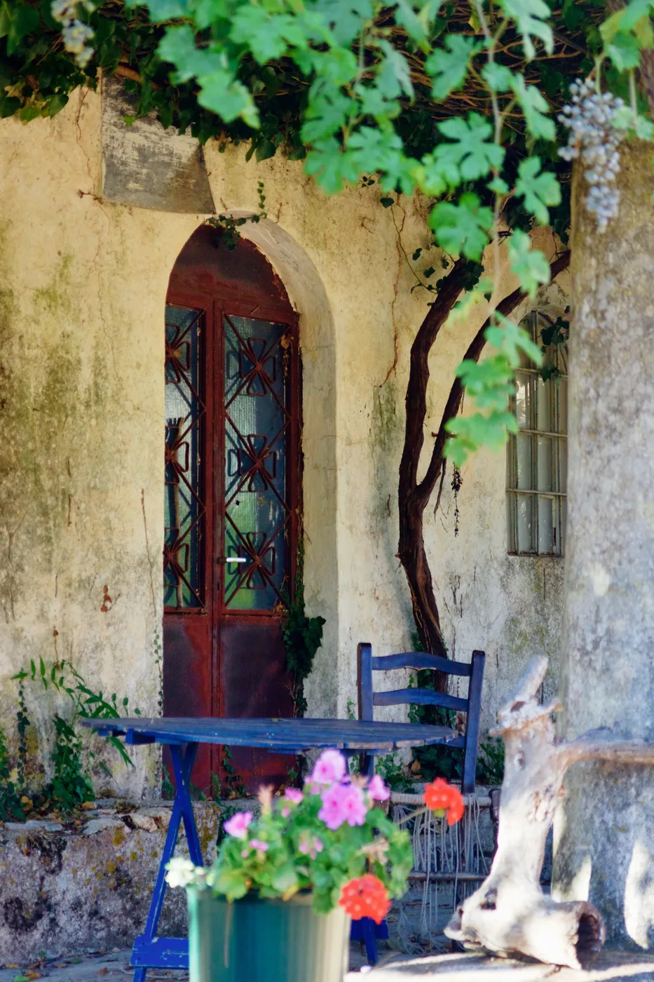 The entrance of an old cell with a vine, flowers and a small blue table at the Anafonitria Monastery
